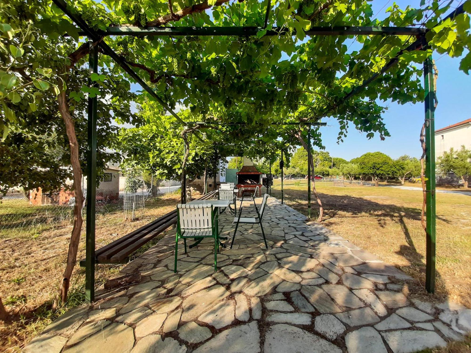 Apartment Sapfo Nikiti (Sithonia)